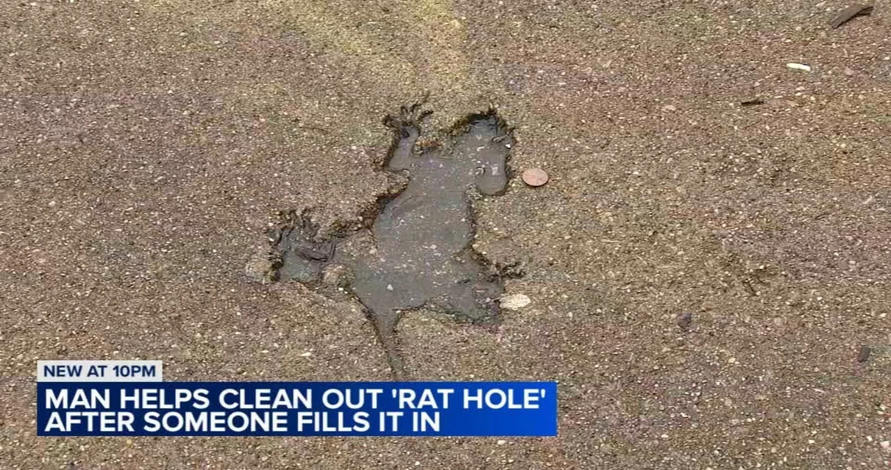 The Chicago Rat Hole: Unraveling the Mystery Behind One of the City's Most Notorious 1Urban Legends