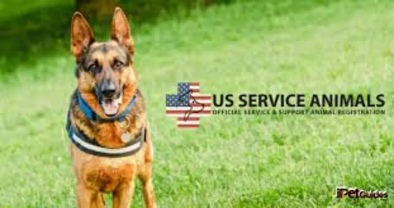 Comprehensive US Service Animals Reviews: Everything You Need to Know